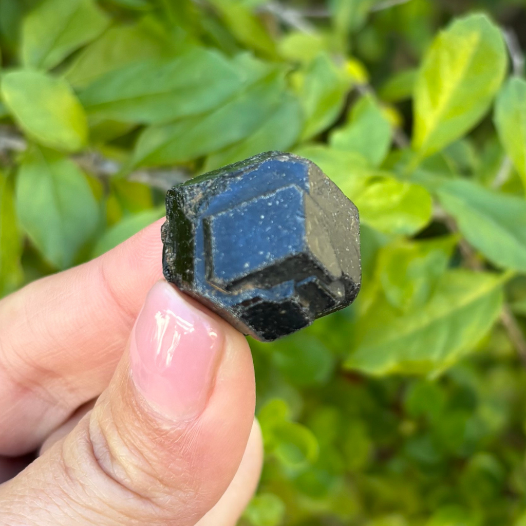 Black Garnet (Melanite) var. Andradite