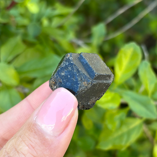 Black Garnet (Melanite) var. Andradite