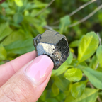 Black Garnet (Melanite) var. Andradite