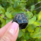 Black Garnet (Melanite) var. Andradite