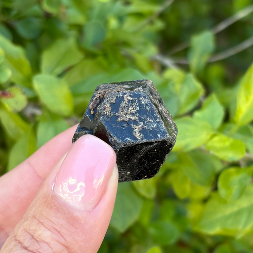 Black Garnet (Melanite) var. Andradite