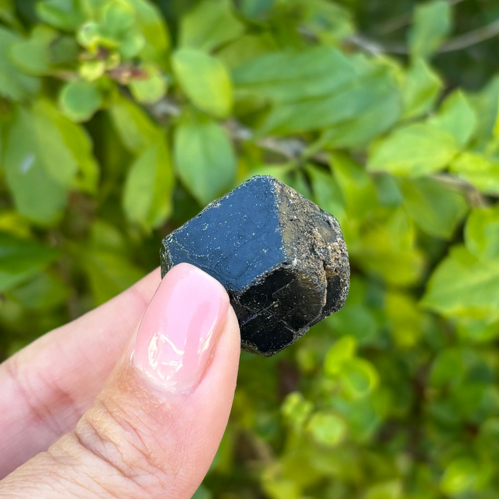 Black Garnet (Melanite) var. Andradite