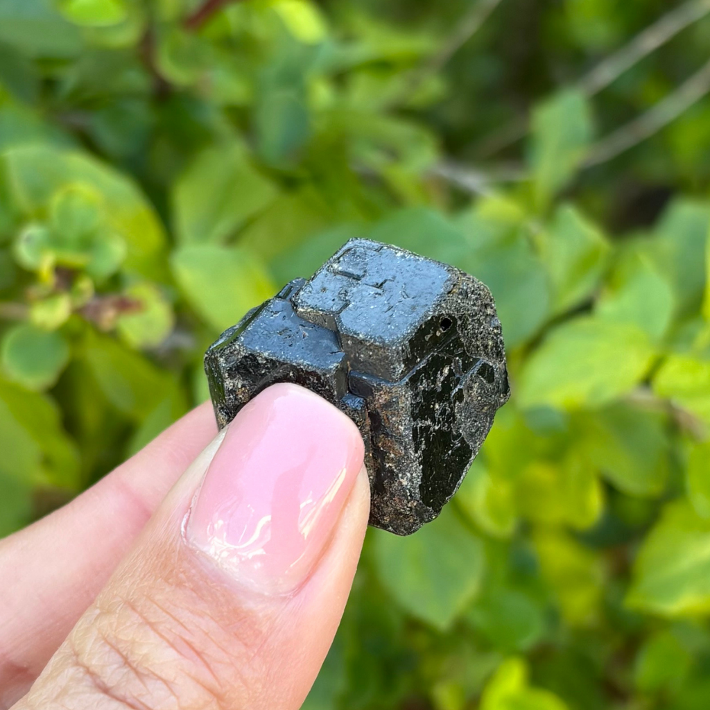Black Garnet (Melanite) var. Andradite