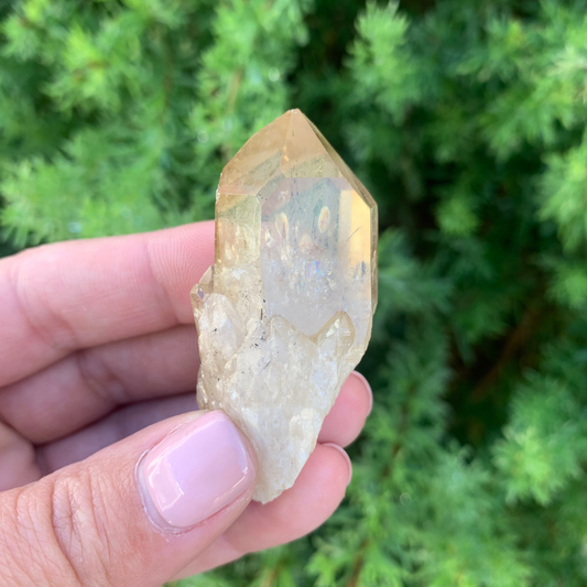 Kundalini Citrine Quartz Point - 33g