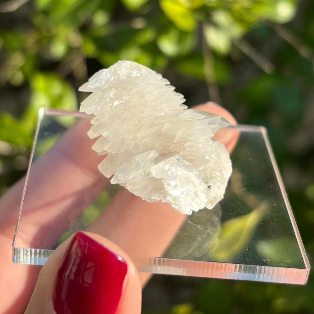 Calcite (White Bladed) Specimen (Fluoresces under UV light)