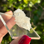 Calcite (White Bladed) Specimen (Fluoresces under UV light)