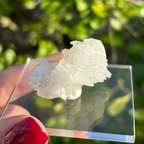 Calcite (White Bladed) Specimen (Fluoresces under UV light)