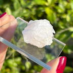 Calcite (White Bladed) Specimen (Fluoresces under UV light)