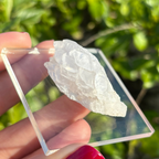 Calcite (White Bladed) Specimen (Fluoresces under UV light)