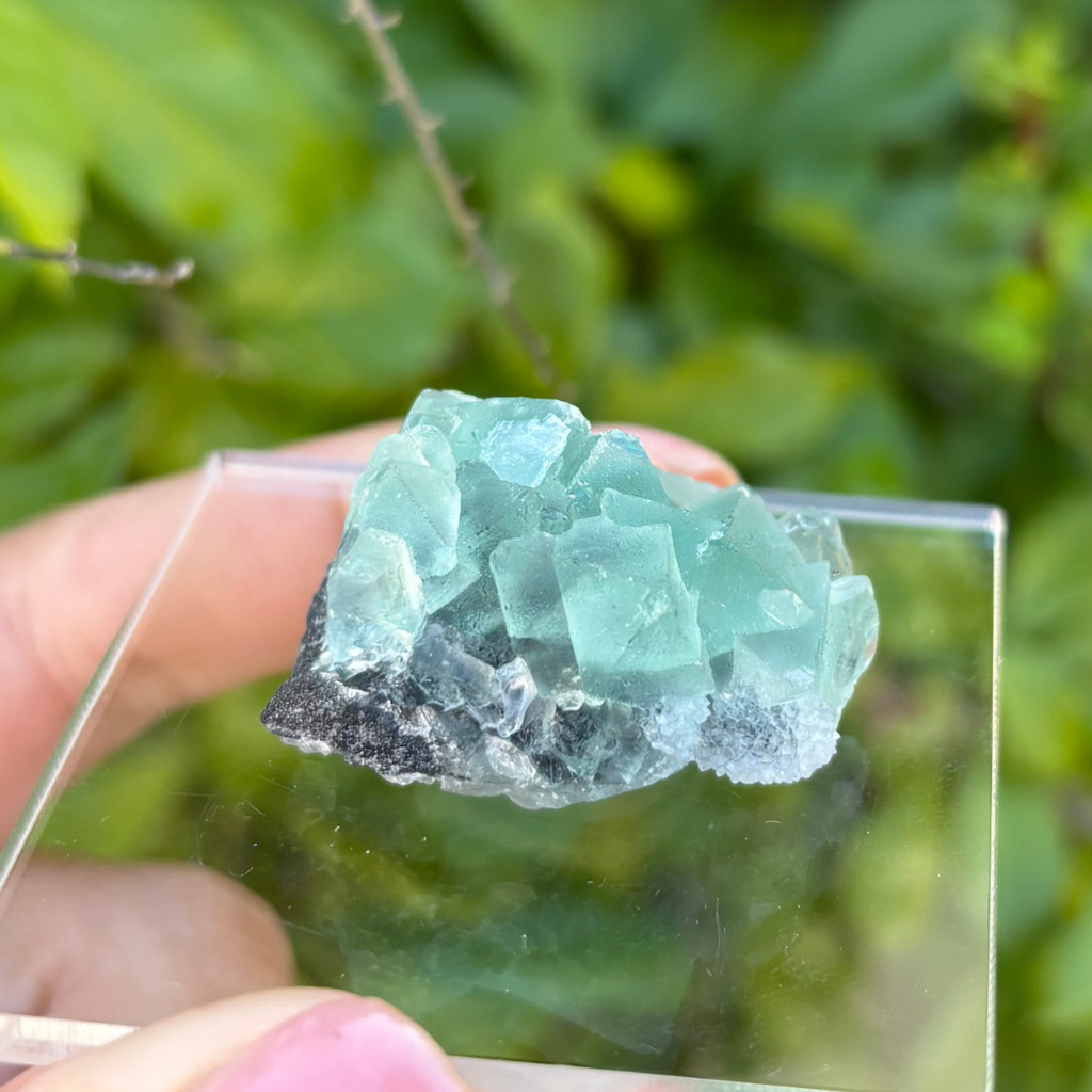 Fluorite (Green) Specimen