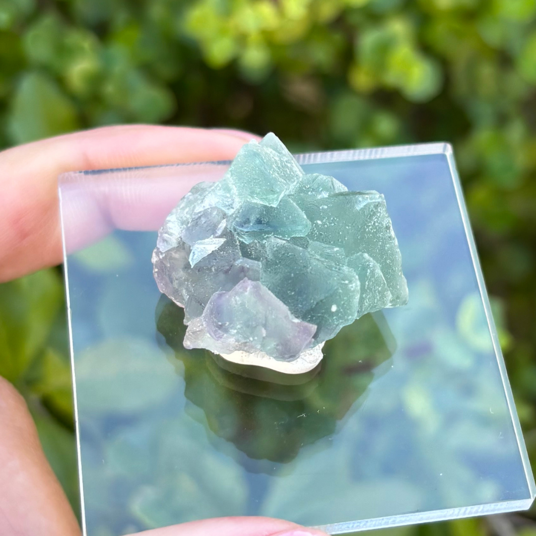 Fluorite (Green) Specimen