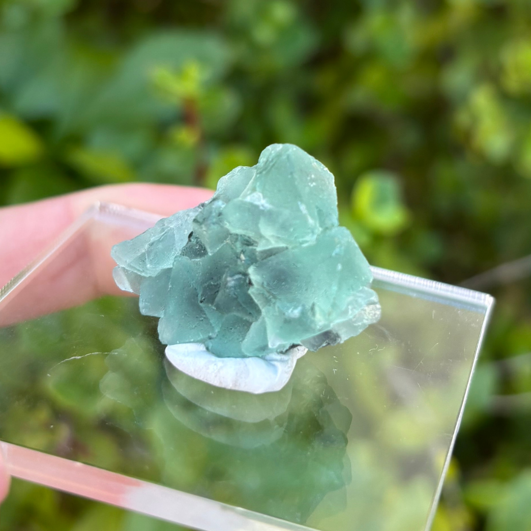 Fluorite (Green) Specimen