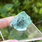 Fluorite (Green) Specimen