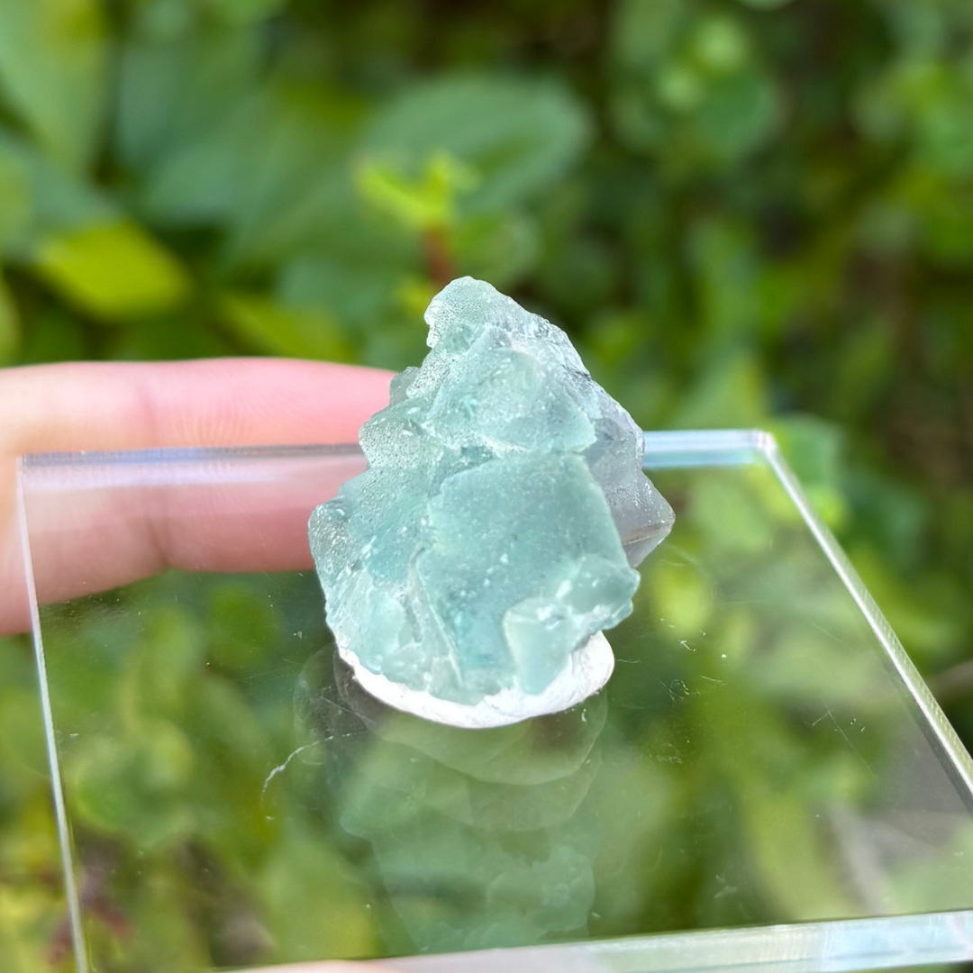 Fluorite (Green) Specimen