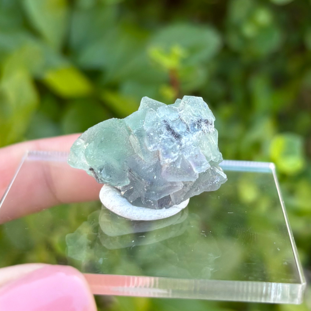Fluorite (Green) Specimen