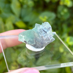 Fluorite (Green) Specimen