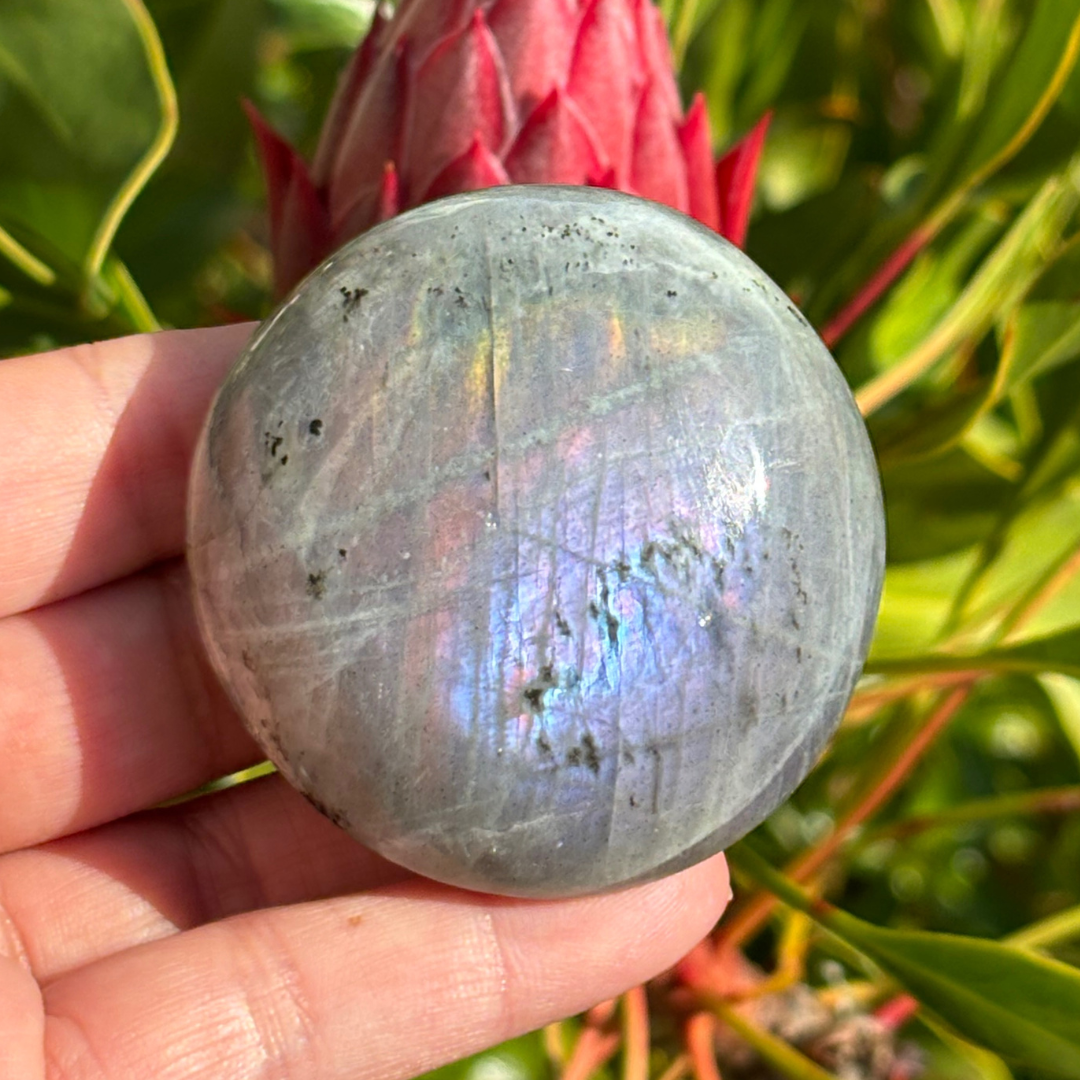 Labradorite Purple Pink Palm Stone