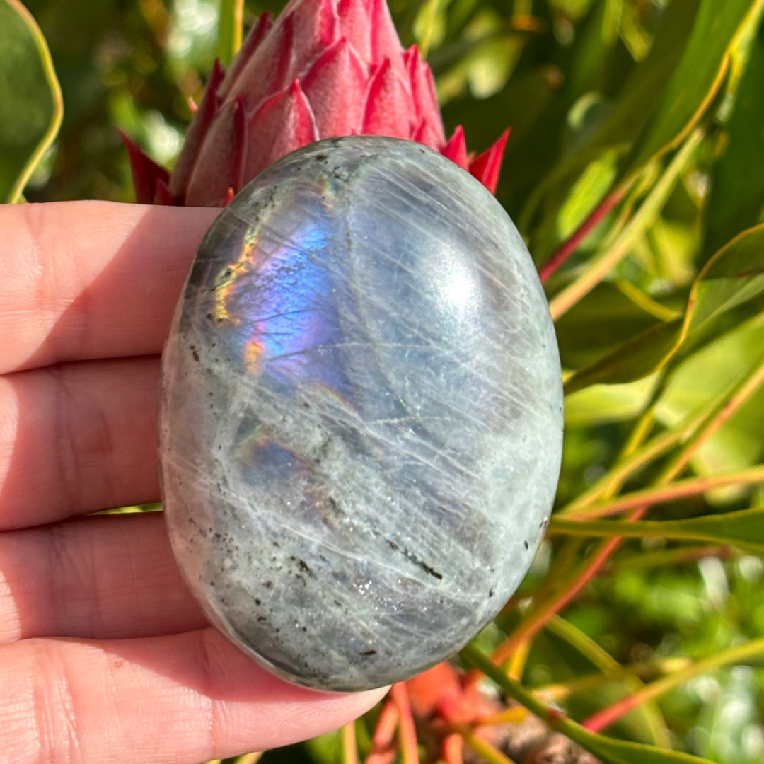 Labradorite Purple Pink Palm Stone