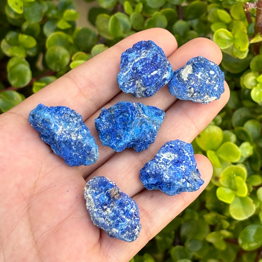 Azurite Specimens (Set of 6)