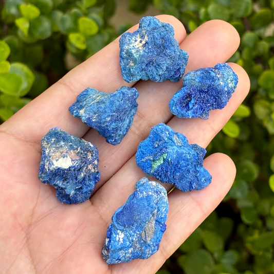 Azurite Specimens (Set of 6)
