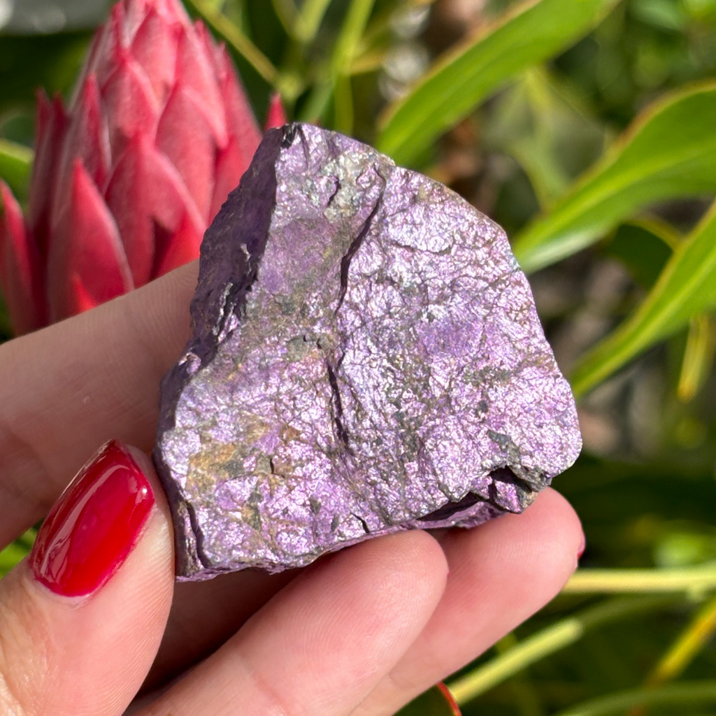 Purpurite Natural