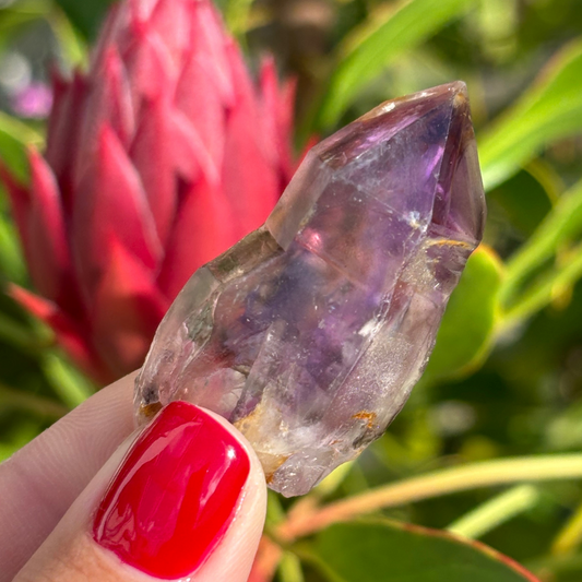 Royal Zulu Amethyst *New Find*