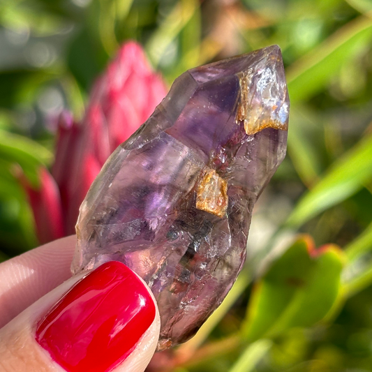 Royal Zulu Amethyst *New Find*