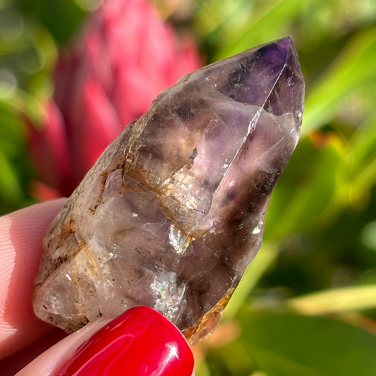 Royal Zulu Amethyst *New Find*
