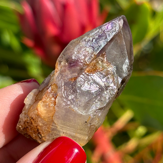 Royal Zulu Amethyst *New Find*