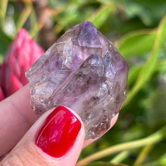 Royal Zulu Amethyst *New Find*