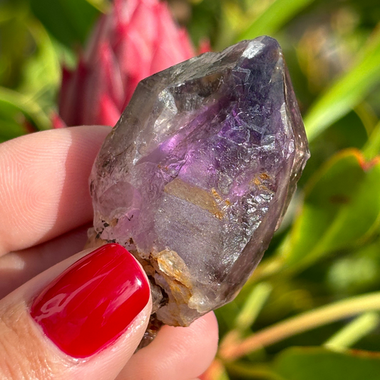 Royal Zulu Amethyst *New Find*