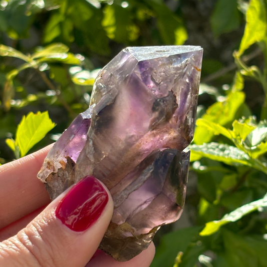 Royal Zulu Window Amethyst *New Find*