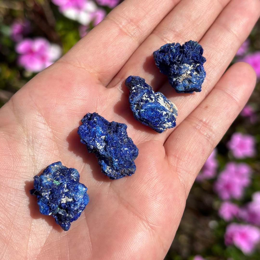 Azurite Specimens (Set of 4)