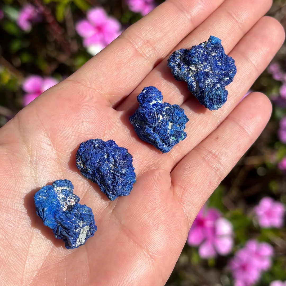 Azurite Specimens (Set of 4)