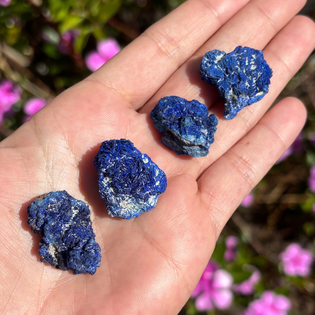 Azurite Specimens (Set of 4)