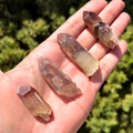 Red Hematoid Quartz Specimens (Set of 4)