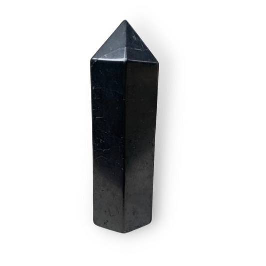 Shungite Point