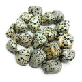 Dalmation Jasper Tumbled Stones